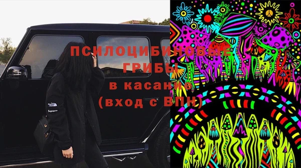 винт Няндома