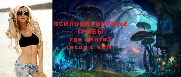 винт Няндома