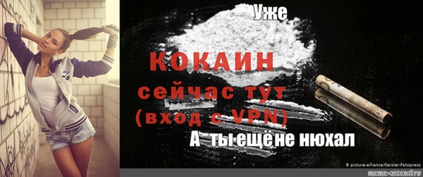 винт Няндома