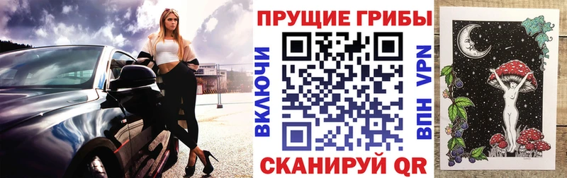 Псилоцибиновые грибы Psilocybe  мега как зайти  Артёмовск  купить наркотики цена 